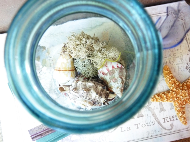 inside of a mason jar beach terrarium with shells and moss
