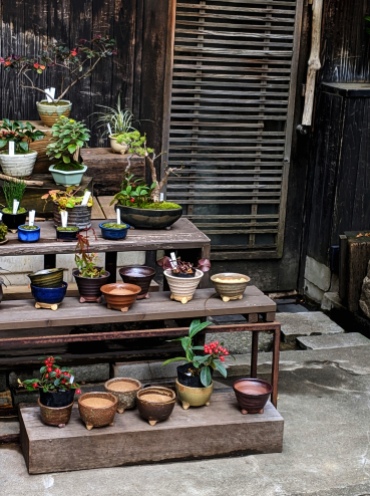 clay pots and bonsai at a traditional plant shop in tokyo japan