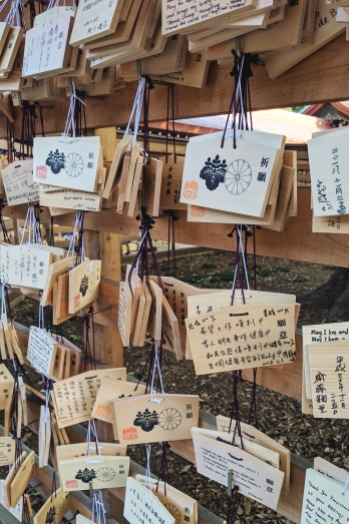 ema plaques hanging at a shinto shrine