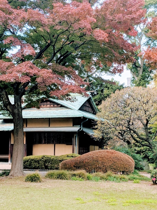 traditional teahouse surrounded by red fall leaves in tokyo's imperial palace gardens